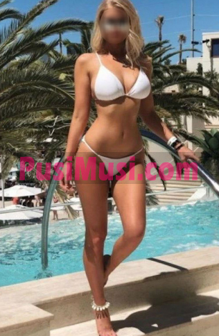 מלודי ואלגנטי, מחפש חבר